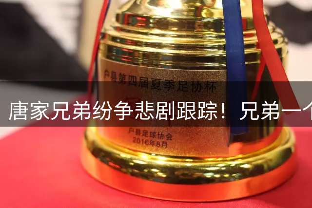 唐家兄弟纷争悲剧跟踪！兄弟一个孤身未娶，一个婚姻破裂，母亲孤独终老