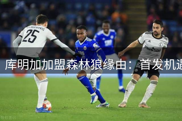 库明加加盟森林狼缘由：首发机遇契合争冠需求