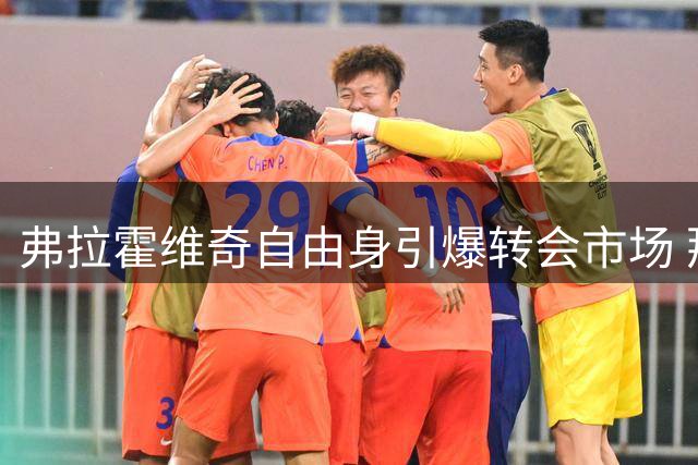 弗拉霍维奇自由身引爆转会市场 那不勒斯或成其职业生涯下一站