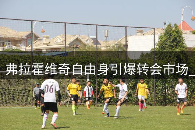 弗拉霍维奇自由身引爆转会市场 那不勒斯或成其职业生涯下一站