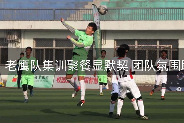 老鹰队集训聚餐显默契 团队氛围助力实力提升